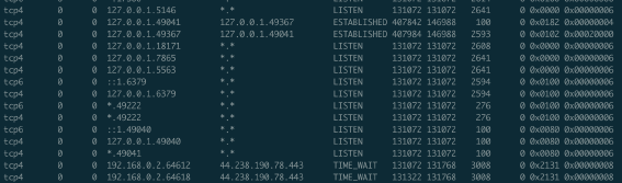 netstat udp ports